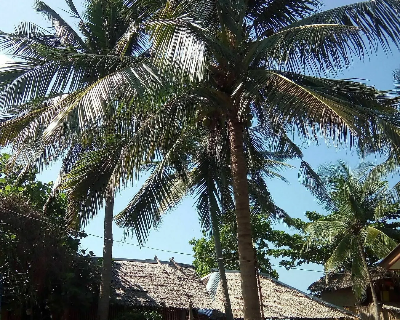 ホテル Ko Lanta Relax Beach Bungalows